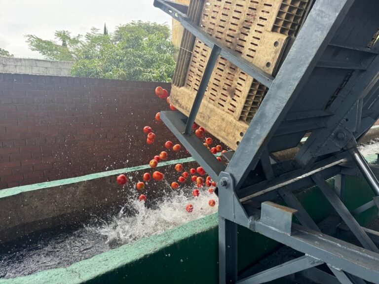 ARDA targets 30% export Increase amidst commitment to secure 45% of Zimbabwe’s grain reserves
