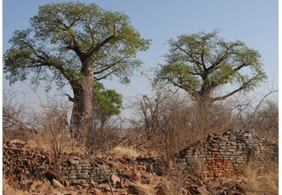 CNRG urges Govt to block mining license near Bumbusi ruins, citing environmental and cultural risks