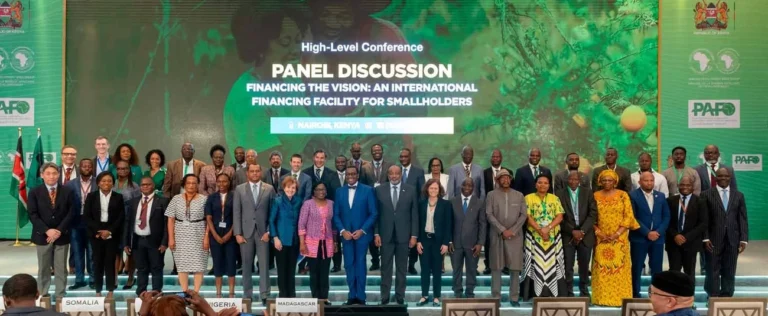 African Development Bank mulls $500 million facility to mobilize financing for smallholder farmers