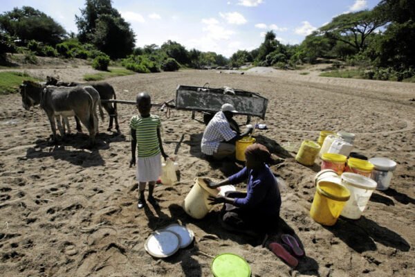 $1.78 Million Invested to Combat Climate Chaos: AfDB’s Push for Resilience in Africa