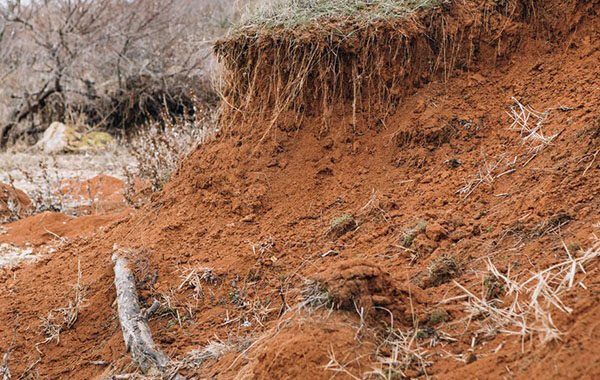 We must care for our planet: Earth’s survival depends on our actions