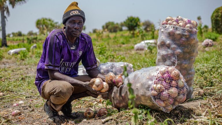 FAO Commits US$139,000 grant for National Food Safety Policy