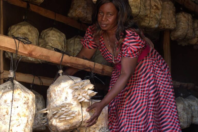 Utariri programme lauded for strengthening community resilience, promoting sustainable livelihoods in Zambezi Valley