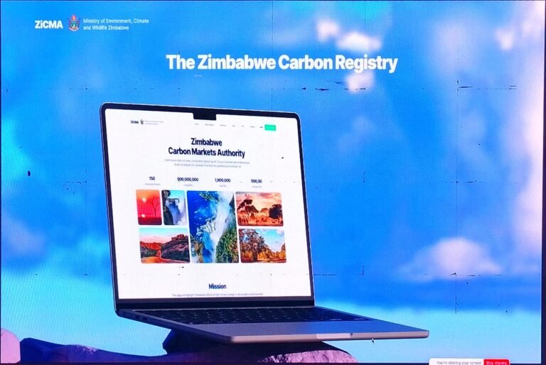 The first of its kind in the world: Zimbabwe debuts blockchain registry for carbon-credit trading 