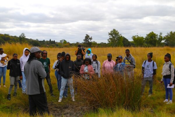 With climate change intensifying, a new generation is mobilising to tackle its long-term impacts, focusing increasingly on wetlands for climate mitigation