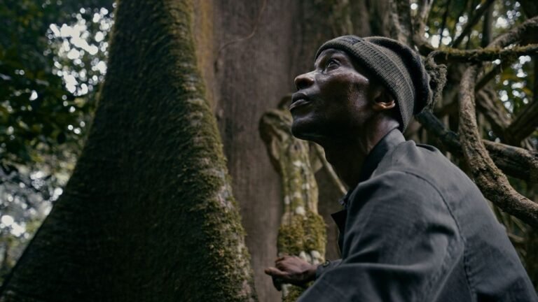 Unsung Heroes: Navigating daily threats in the wild