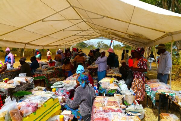 Fambidzanai food, seed festival helps Zimbabwean farmers reclaim traditional seeds to tackle climate crisis