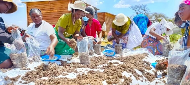 Seeds of Change project advances youth-led agroecology in Zimbabwe