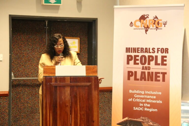 Zimbabwe’s critical minerals boom risks leaving communities behind